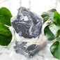 Black Licorice Tallow & Coconut Oil Soap