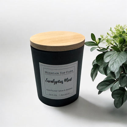 Eucalyptus Mint Tallow and Beeswax Candle